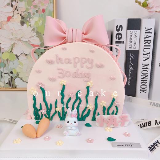 花园小兔半圆卡通蛋糕（小兔随机搭配）-低糖处理无添加 商品图0