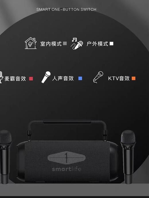 DOMIGO生活一号K歌蓝牙音响Z3+两支话筒 商品图1