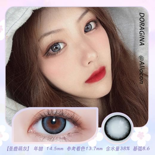 Doragina圣鹿萌灰 14.5mm【年抛1片】 商品图0