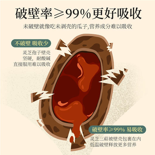 破壁灵芝孢子粉【60g (1.0g/袋x60)】 商品图3