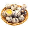 鹌鹑蛋 500g 商品缩略图0