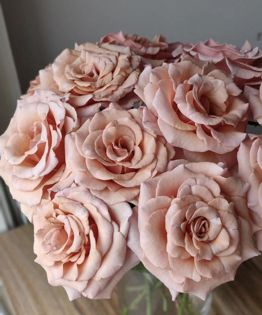 【福利秒杀】南粤推荐-莫泊  20枝/扎 商品图6