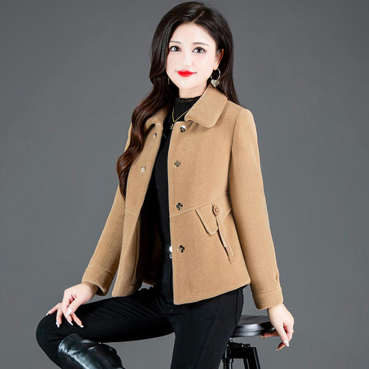 QYM-HSY-I23C050 -Y时尚短款仿貂绒大衣2023年新款冬季小个子加厚保暖毛呢外套 商品图1