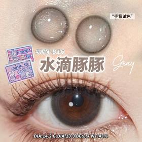 WN－D16 水滴豚豚【日抛】