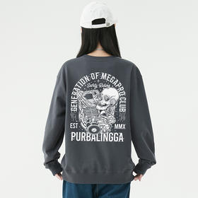 自由基地2023秋冬越野机车新款圆领套头卫衣毛圈款打底衫潮人卫衣 NMT-2070