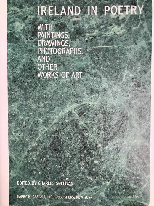 诗歌中的爱尔兰（1990） 118幅插图（50幅彩色） 精装16开 商品图3