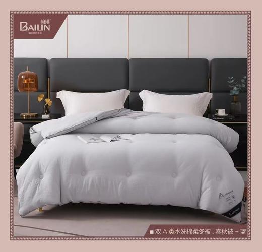 柏琳家纺双A类水洗棉柔春秋被 商品图0