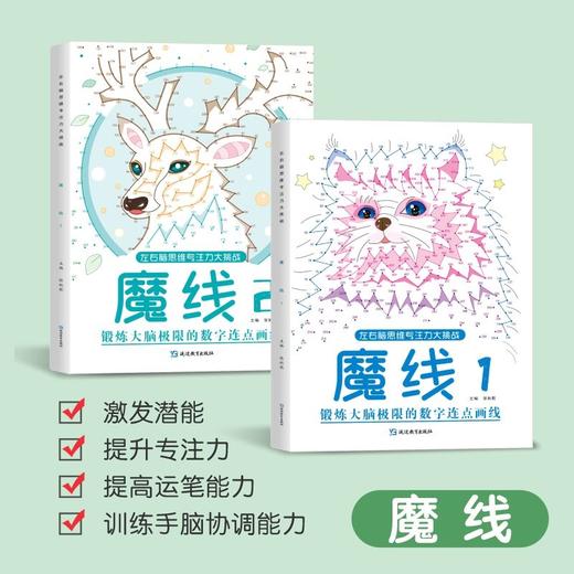 3-10岁魔线左右脑思维专注力大挑战高难度迷宫小学生益智智力游戏 商品图3