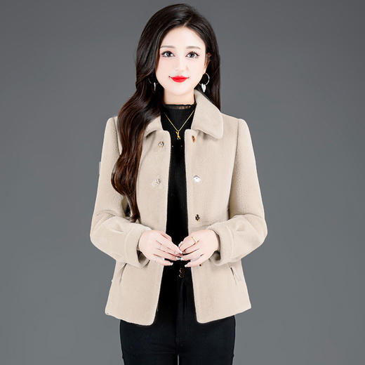 QYM-HSY-I23C050 -Y时尚短款仿貂绒大衣2023年新款冬季小个子加厚保暖毛呢外套 商品图5