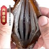 太原发货【环岛海参】单冻即食海参 礼盒装  500g/袋（8-10头） 商品缩略图2