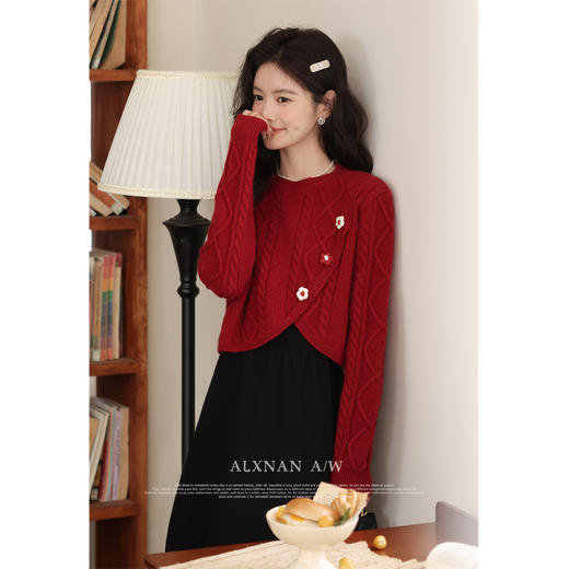 鹿向南原创《港岛玫瑰》高级感时尚套装女2025秋冬毛衣裙子两件套LXN32258 商品图2