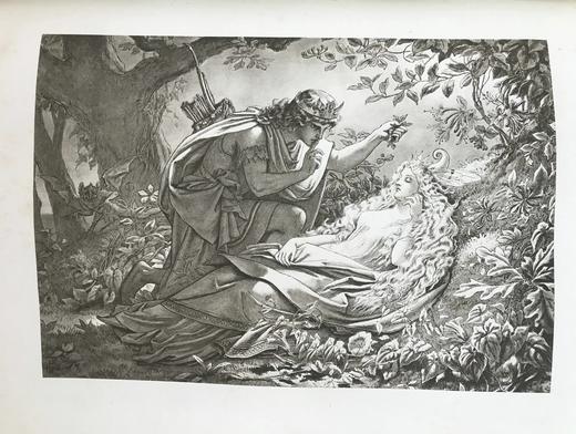 据第一对开本重新珂罗版印刷！约1880年 莎士比亚全集（全3卷） 派顿爵士精美版画插图 全真皮精装 商品图8