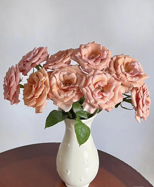 【福利秒杀】南粤推荐-莫泊  20枝/扎 商品图0