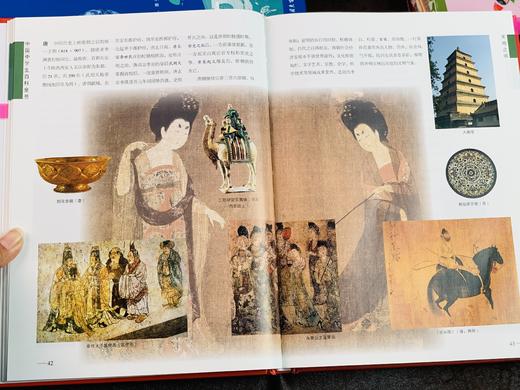 《中国中学生百科全书》丨清华北大附中推荐，紧贴课本，一书囊括13门学科，从小学读到高中 商品图8