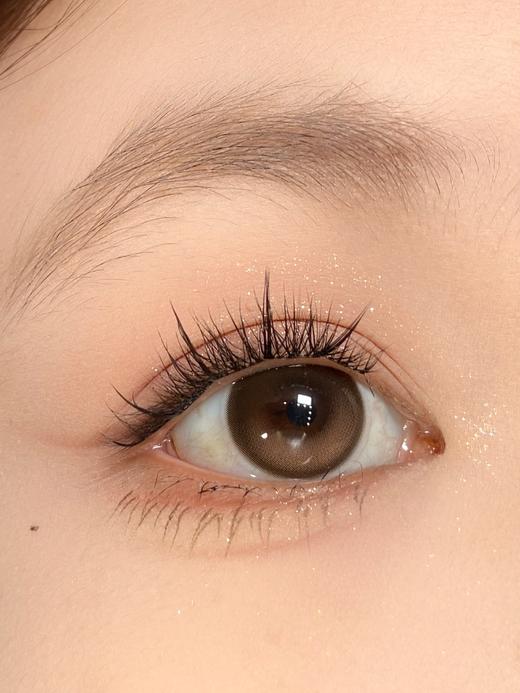 Papadox半年抛--声声乌龙 商品图8