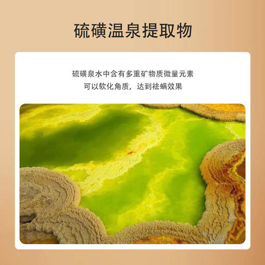 【硫磺净肤，皮肤白嫩】龙胆硫磺除螨液体皂硫磺沐浴露泡泡丰富祛螨亲肤干爽 商品图3