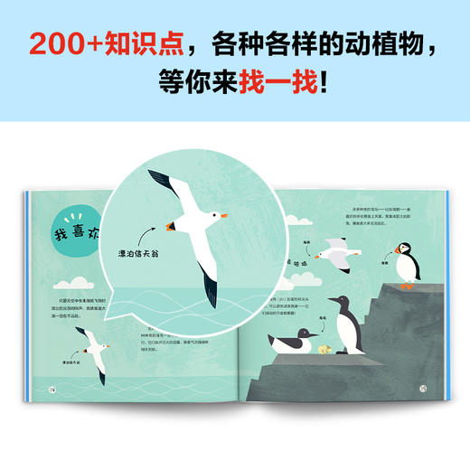 读客我喜欢大自然（全6册）从捡落叶开始了解自然科学！3-6岁科普绘本 商品图4