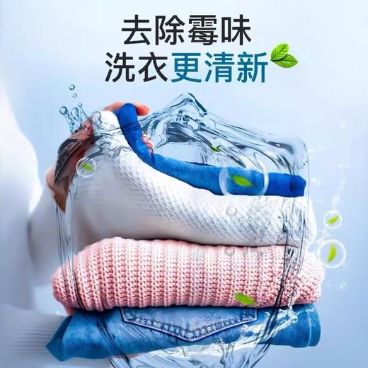 威王洗衣机槽清洁剂【375g】 商品图1