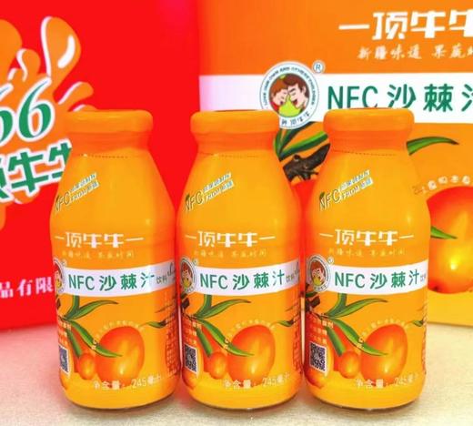 顶牛牛NFC鲜榨沙棘果汁245ml/瓶*10瓶 （玻璃瓶装） 商品图0