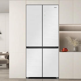 海尔（Haier）冰箱 BCD-501WGHTD95GQU1