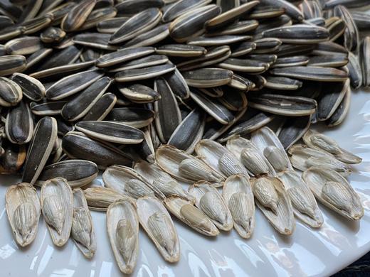 漠北草原瓜子 商品图1