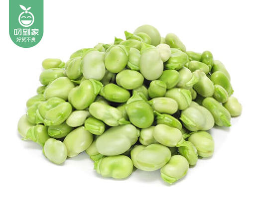云南新鲜蚕豆仁/1份（约200g） 商品图3