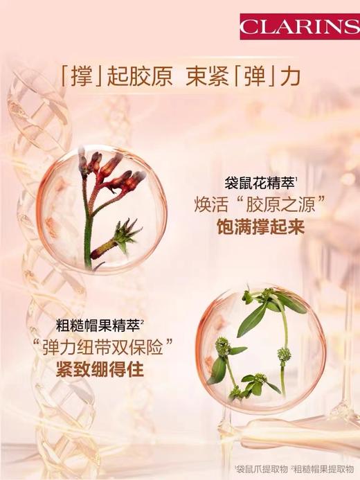 娇韵诗弹力日霜 50ML 商品图1