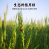 【乡村振兴结伴同行】原麦薄饼 商品缩略图3