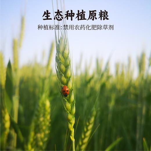 【乡村振兴结伴同行】原麦薄饼 商品图3