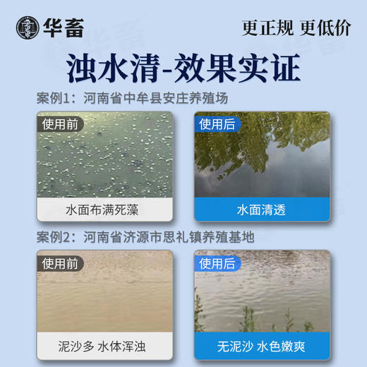 华畜浊水清鱼塘水质净化剂净水剂小龙虾蟹塘澄清混水变清水产养殖 商品图3