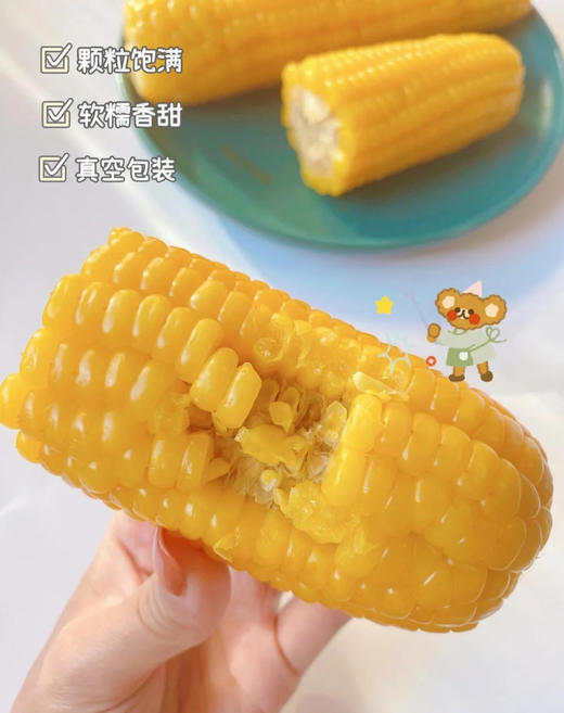 当季采摘❗️一年只卖一次❗️敖汉旗非转基因“香糯玉米”🌽【蒙谷阳光敖汉玉米】软糯爆浆😋 商品图4