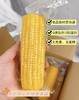 当季采摘❗️一年只卖一次❗️敖汉旗非转基因“香糯玉米”🌽【蒙谷阳光敖汉玉米】软糯爆浆😋 商品缩略图3