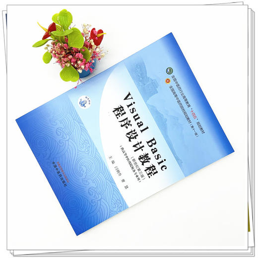 Visual Basic程序设计教程 闫朝升 曹慧 主编 中国中医药出版社 新世纪第三3版 全国中医药行业高等教育十四五规划教材第十一版 商品图1