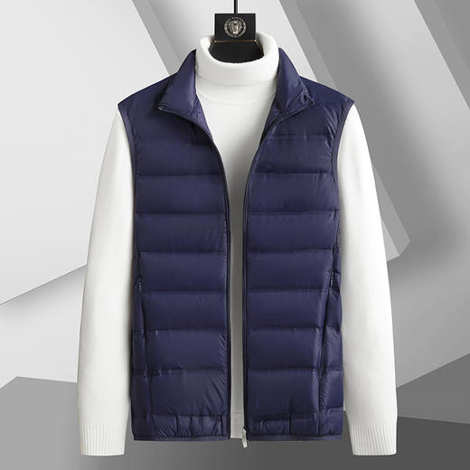 【圈】【新款DTH】大依优型大码羽绒马甲男宽松加肥加大码上衣夹克胖子男士外套坎肩背心 商品图2