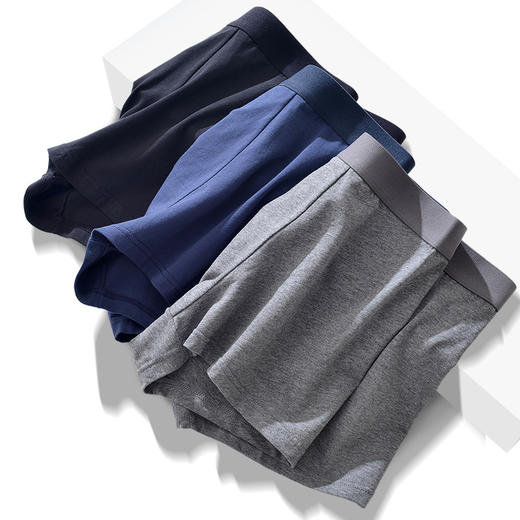 a1218 50支新疆长绒棉经典男士内裤纯棉中腰抗菌透气平角裤 商品图2