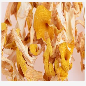 【云南省怒江州兰坪县】恩棋鸡油菌100g/盒 商品图1