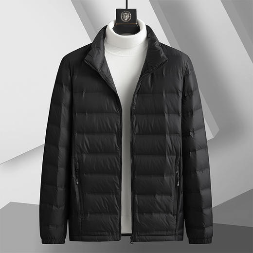 【新款DTH】大依优型大码立领羽绒服白鸭绒保暖加厚加肥加大上衣男士外套胖子 商品图0