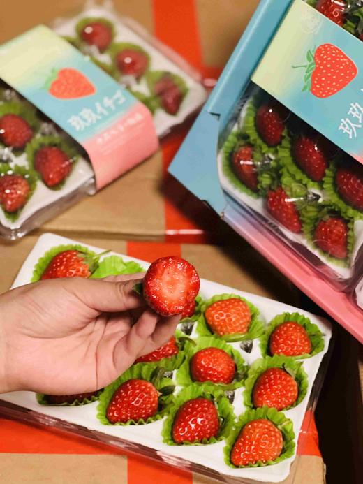 不曾入眼 何以入心 正宗丹东草莓🍓，完熟甜糯不空心！小时候的草莓味道，自然香浓～ 商品图10