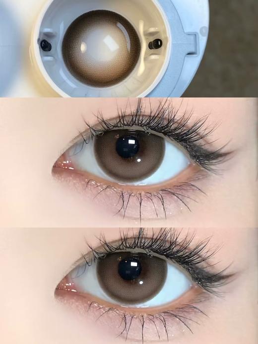 Papadox半年抛--声声乌龙 商品图12