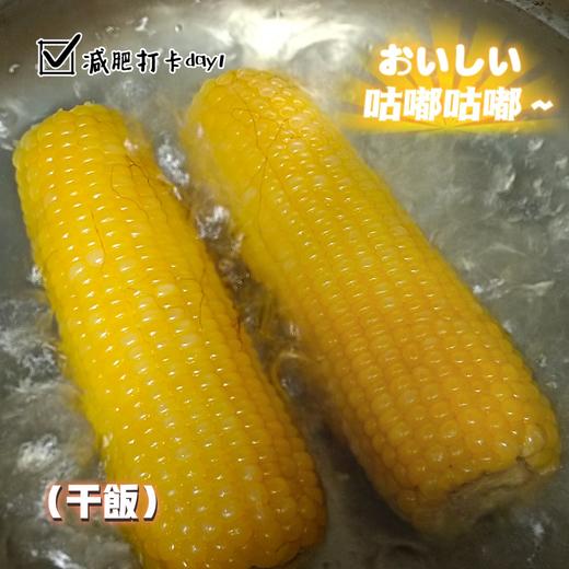 当季采摘❗️一年只卖一次❗️敖汉旗非转基因“香糯玉米”🌽【蒙谷阳光敖汉玉米】软糯爆浆😋 商品图2