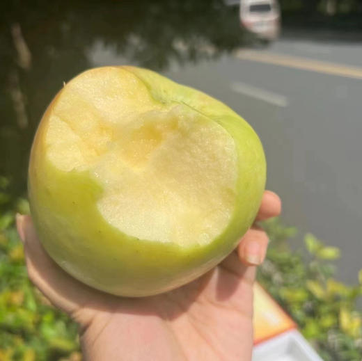 【正宗王林苹果】新疆王林苹果长着“雀斑”，又带着一抹水蜜桃粉色！天山雪水灌溉！松脆多汁，甜嫩爽口，无与伦比💯最迷人的地方，苹果自带芳香！ 商品图0