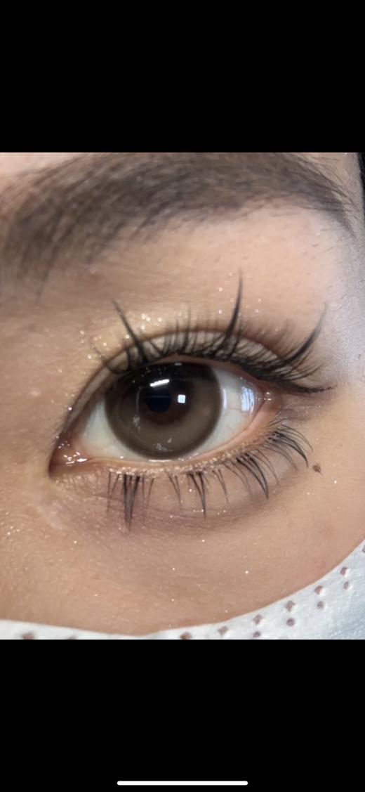 Papadox半年抛--声声乌龙 商品图3