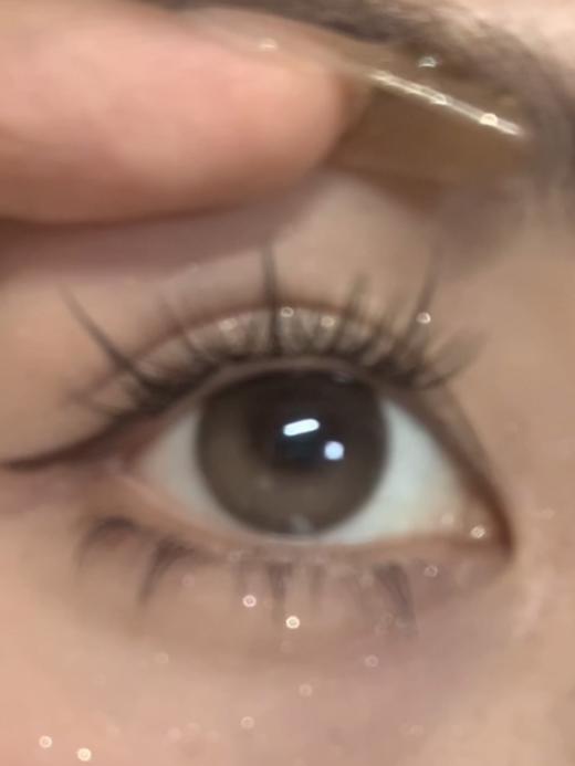 Papadox半年抛--声声乌龙 商品图6