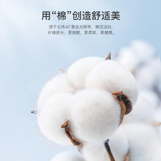 爱帝女士棉莱卡小印花打底内衣套装 商品图4