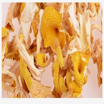 【云南省怒江州兰坪县】恩棋鸡油菌100g/盒 商品图2