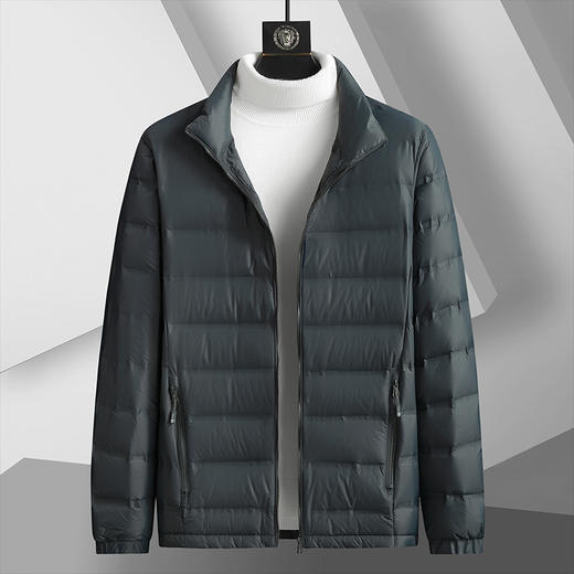 【新款DTH】大依优型大码立领羽绒服白鸭绒保暖加厚加肥加大上衣男士外套胖子 商品图2