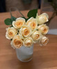 蜜桃雪山也叫香槟玫瑰，优雅大方，一束10支 商品缩略图2