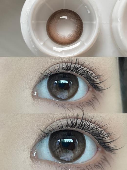 Papadox半年抛--声声乌龙 商品图14