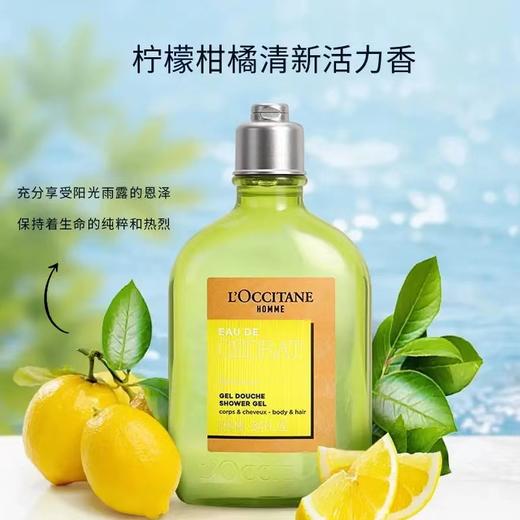 欧舒丹男士洗发沐浴2合1 商品图1