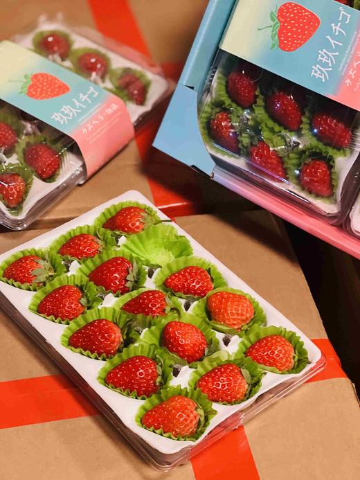 不曾入眼 何以入心 正宗丹东草莓🍓，完熟甜糯不空心！小时候的草莓味道，自然香浓～ 商品图9